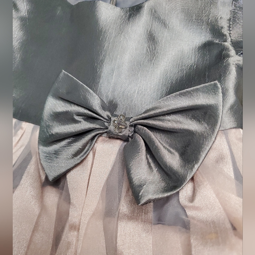 Isobella and Chloe baby's formal gray and pink ruffled dress Size 12 month - Picture 4 of 8